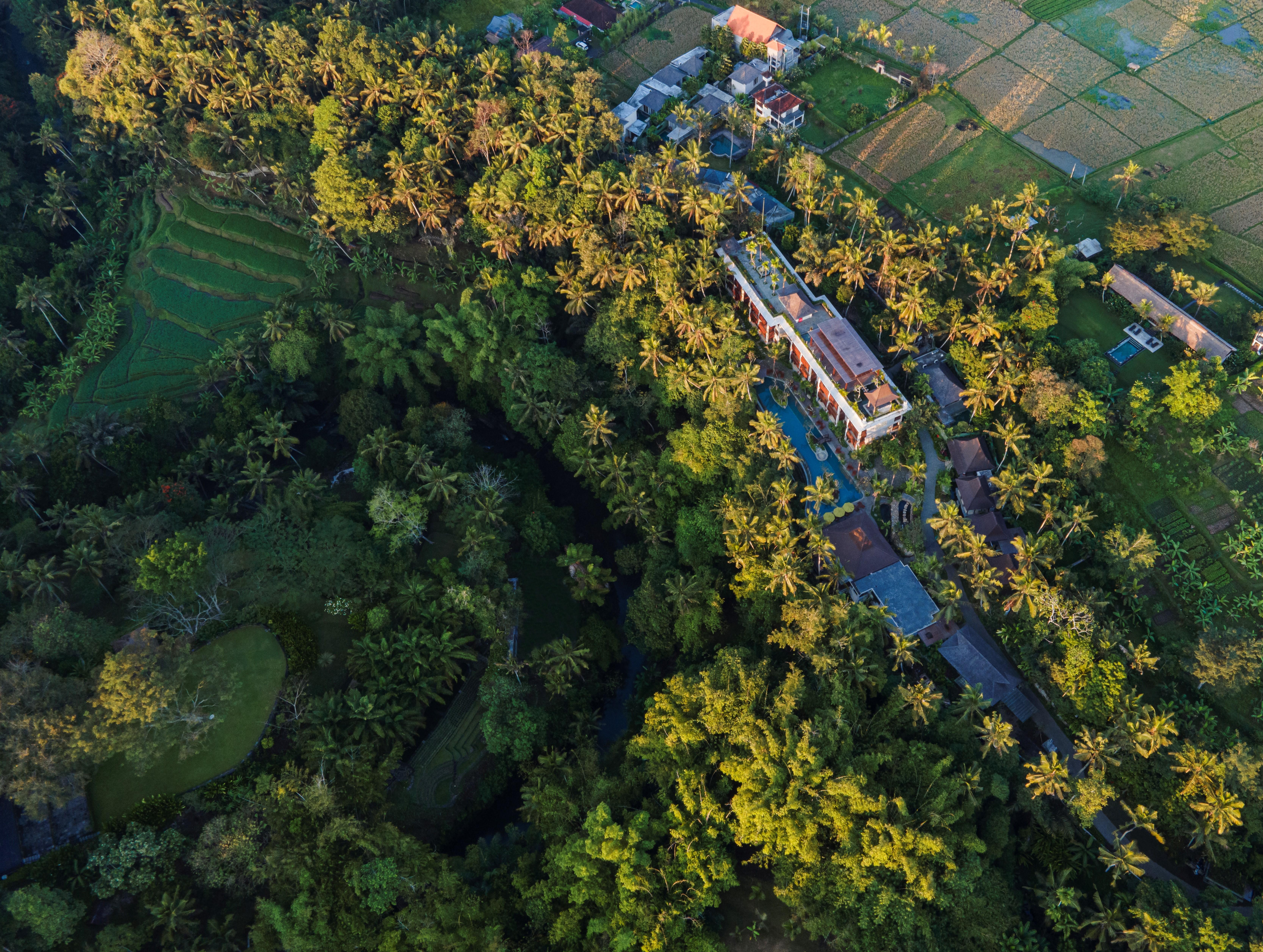 Arkamara Dijiwa Ubud Kültér fotó